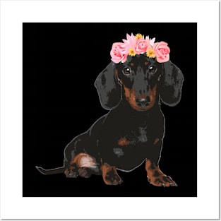 wiener dog Posters and Art